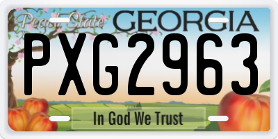 GA license plate PXG2963