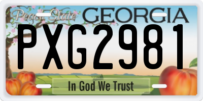 GA license plate PXG2981