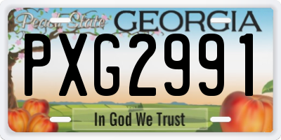 GA license plate PXG2991