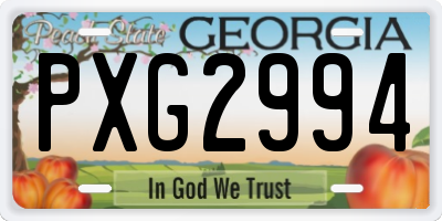 GA license plate PXG2994