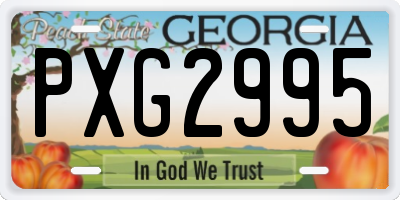GA license plate PXG2995