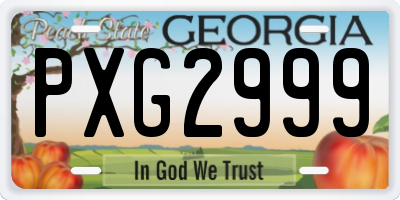 GA license plate PXG2999