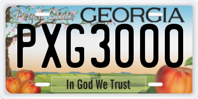 GA license plate PXG3000