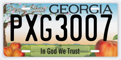 GA license plate PXG3007