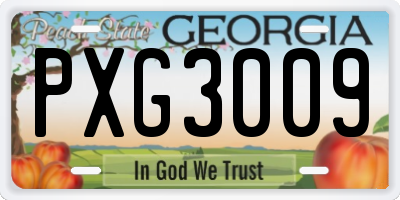 GA license plate PXG3009