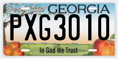 GA license plate PXG3010
