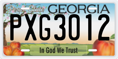 GA license plate PXG3012
