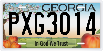 GA license plate PXG3014