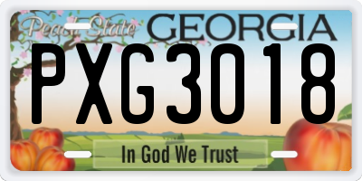 GA license plate PXG3018