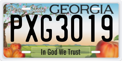 GA license plate PXG3019