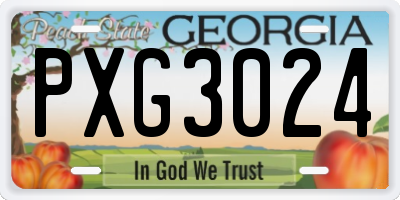 GA license plate PXG3024