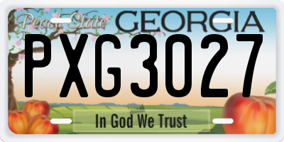 GA license plate PXG3027