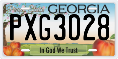 GA license plate PXG3028