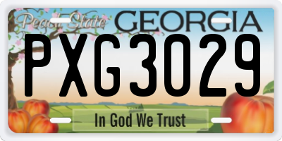 GA license plate PXG3029