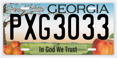 GA license plate PXG3033
