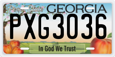 GA license plate PXG3036