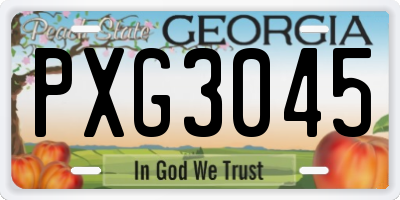 GA license plate PXG3045