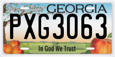 GA license plate PXG3063