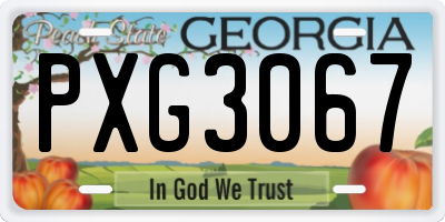 GA license plate PXG3067