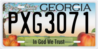 GA license plate PXG3071