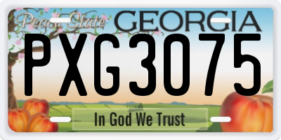 GA license plate PXG3075