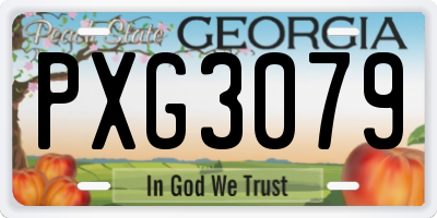 GA license plate PXG3079