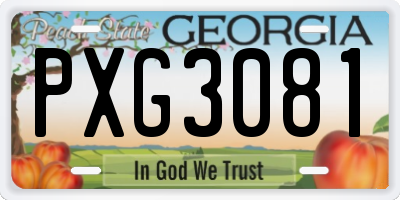 GA license plate PXG3081