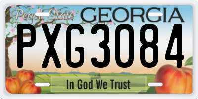 GA license plate PXG3084