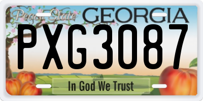 GA license plate PXG3087