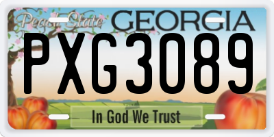 GA license plate PXG3089