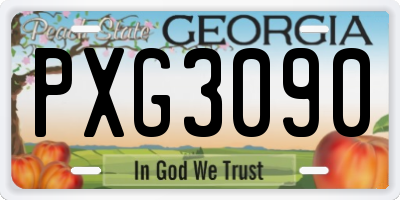 GA license plate PXG3090