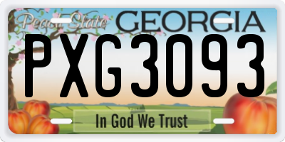 GA license plate PXG3093
