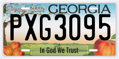 GA license plate PXG3095