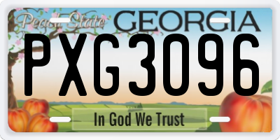 GA license plate PXG3096