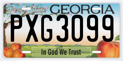 GA license plate PXG3099