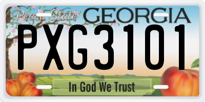 GA license plate PXG3101