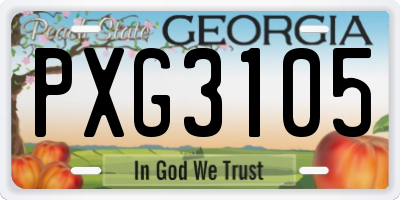 GA license plate PXG3105