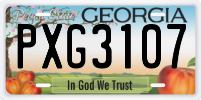 GA license plate PXG3107