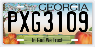 GA license plate PXG3109