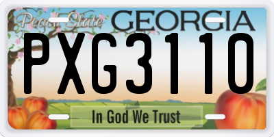 GA license plate PXG3110