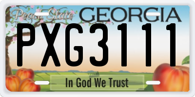GA license plate PXG3111