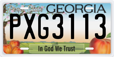 GA license plate PXG3113