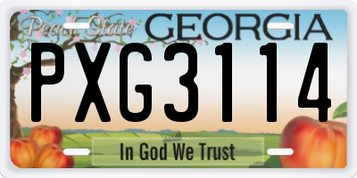 GA license plate PXG3114