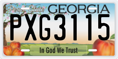 GA license plate PXG3115