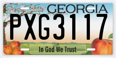 GA license plate PXG3117