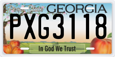 GA license plate PXG3118