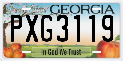GA license plate PXG3119