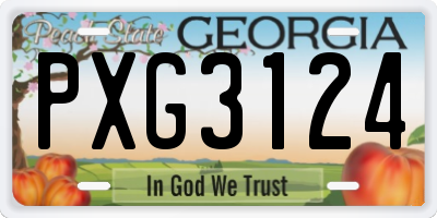 GA license plate PXG3124