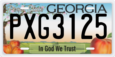 GA license plate PXG3125