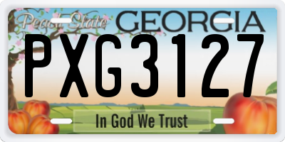 GA license plate PXG3127